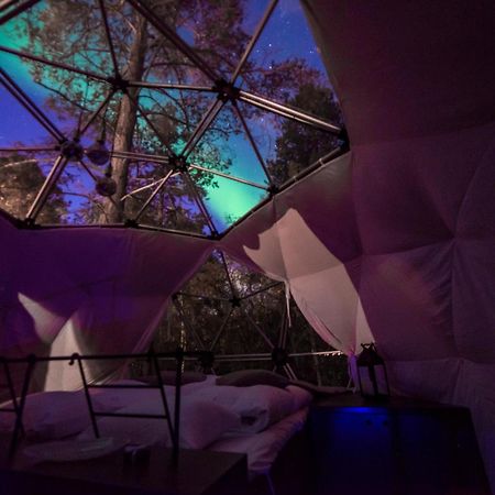 Glod Aurora Canvas Dome Alta Luaran gambar