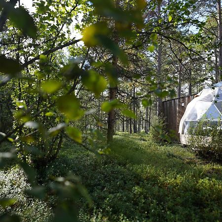 Glod Aurora Canvas Dome Alta Luaran gambar