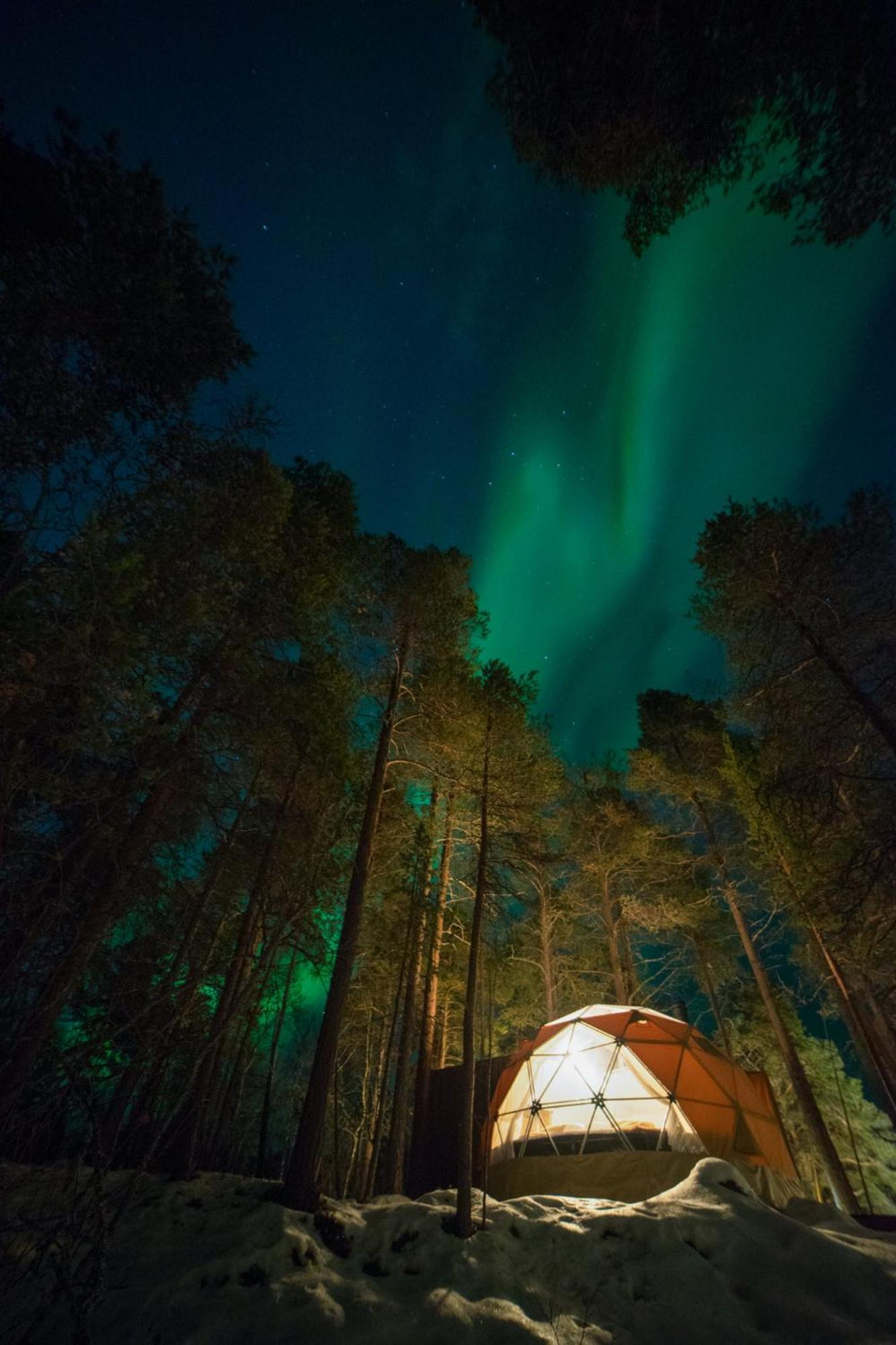 Glod Aurora Canvas Dome Alta Luaran gambar