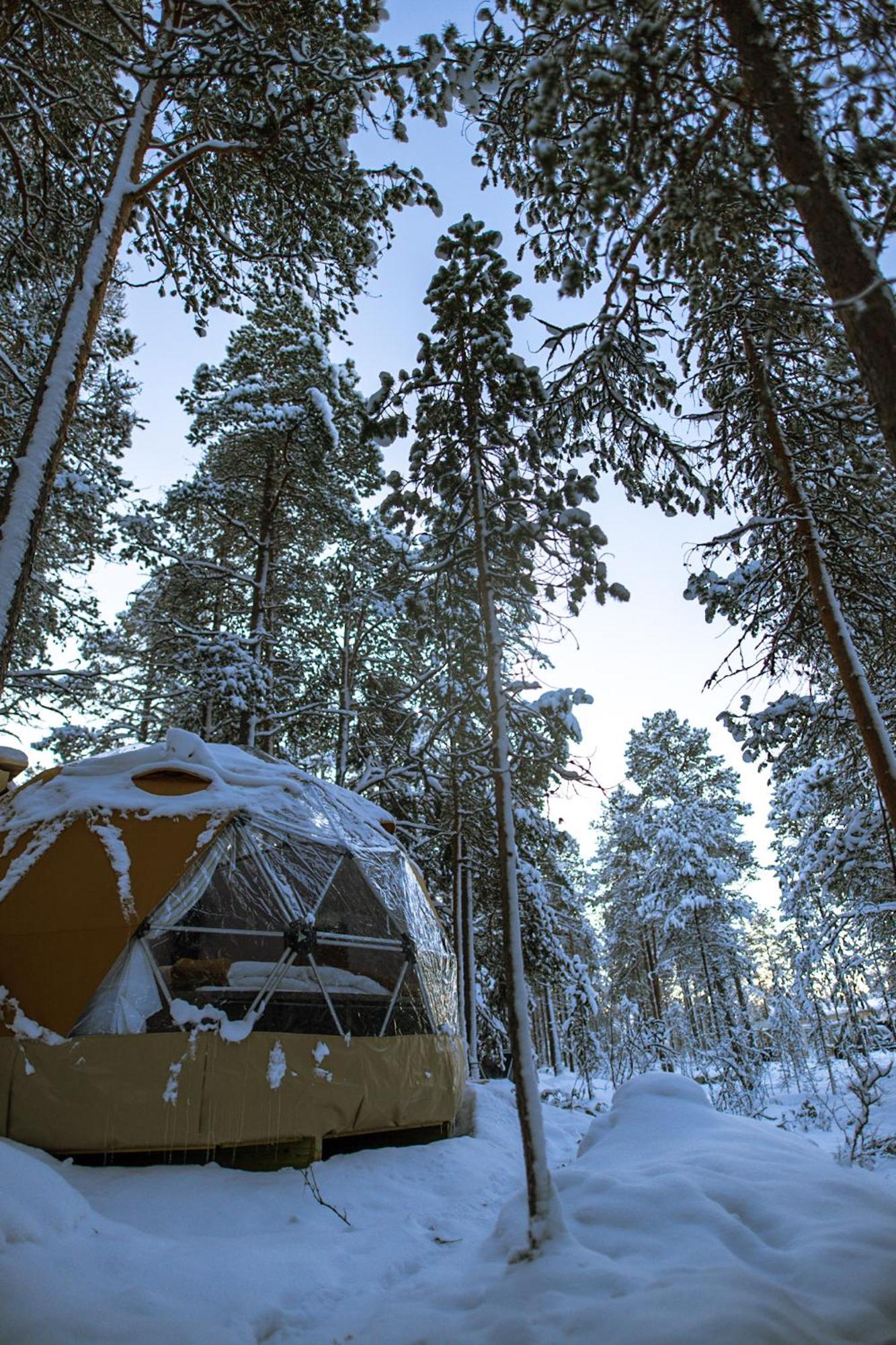 Glod Aurora Canvas Dome Alta Luaran gambar