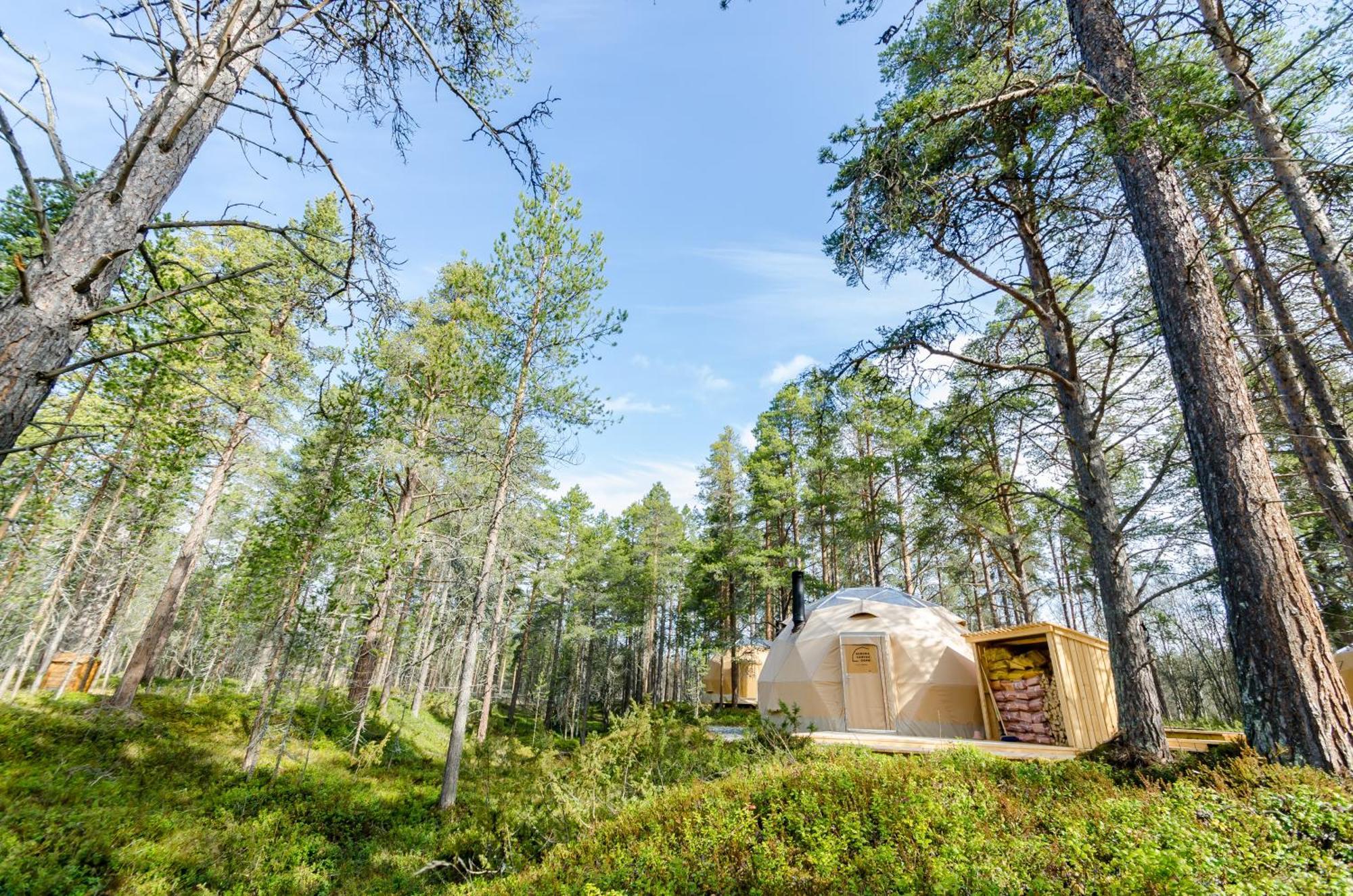 Glod Aurora Canvas Dome Alta Luaran gambar
