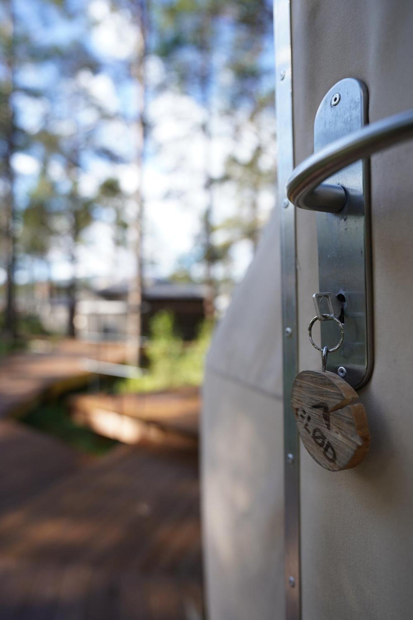 Glod Aurora Canvas Dome Alta Luaran gambar