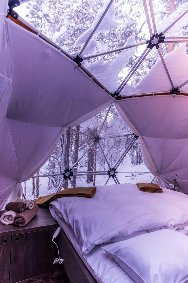 Glod Aurora Canvas Dome Alta Luaran gambar