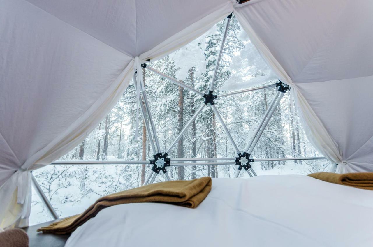 Glod Aurora Canvas Dome Alta Luaran gambar