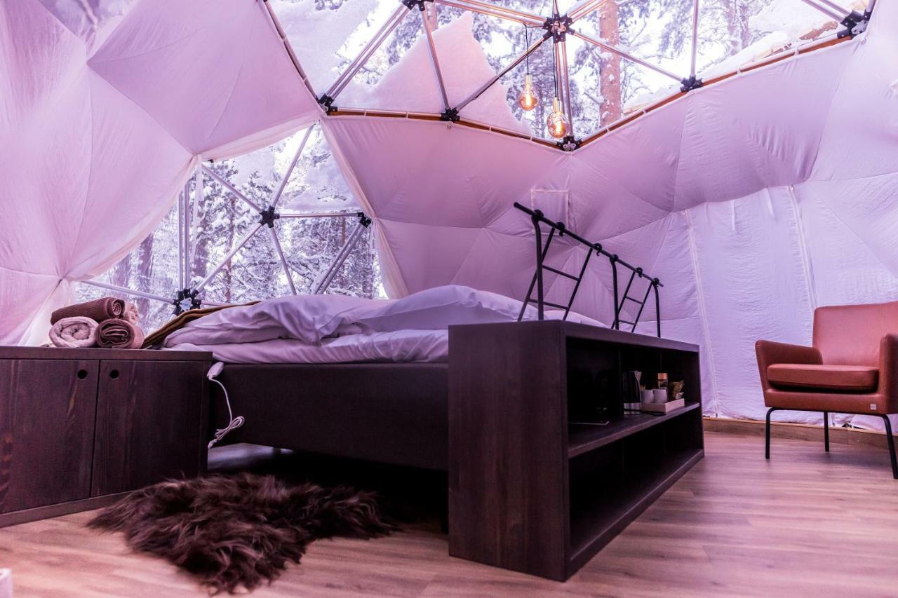 Glod Aurora Canvas Dome Alta Luaran gambar