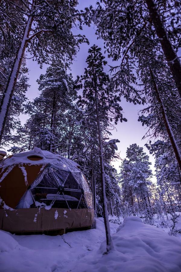 Glod Aurora Canvas Dome Alta Luaran gambar
