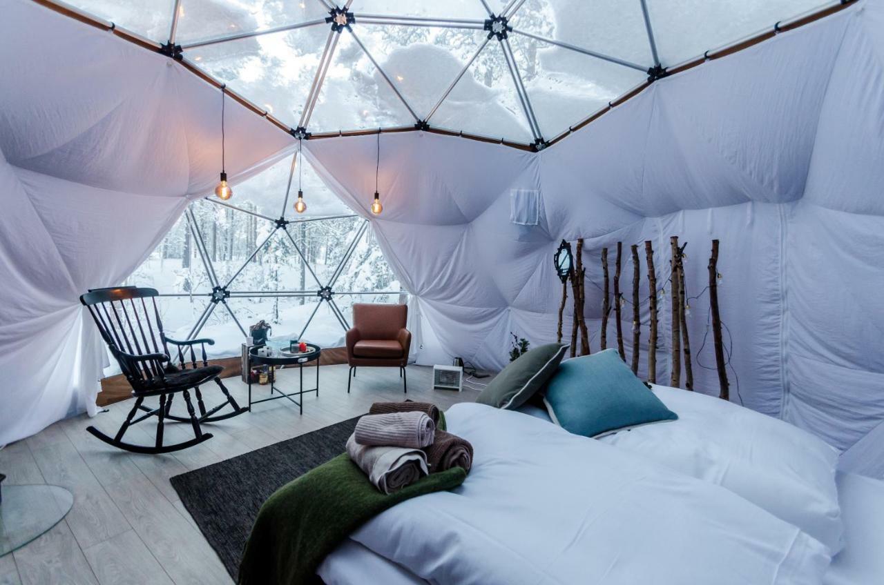 Glod Aurora Canvas Dome Alta Luaran gambar