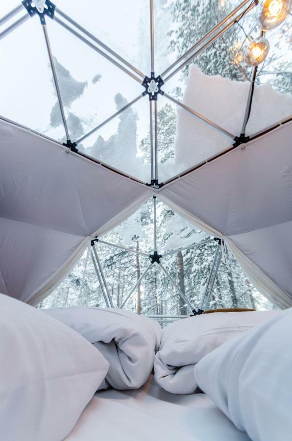 Glod Aurora Canvas Dome Alta Luaran gambar