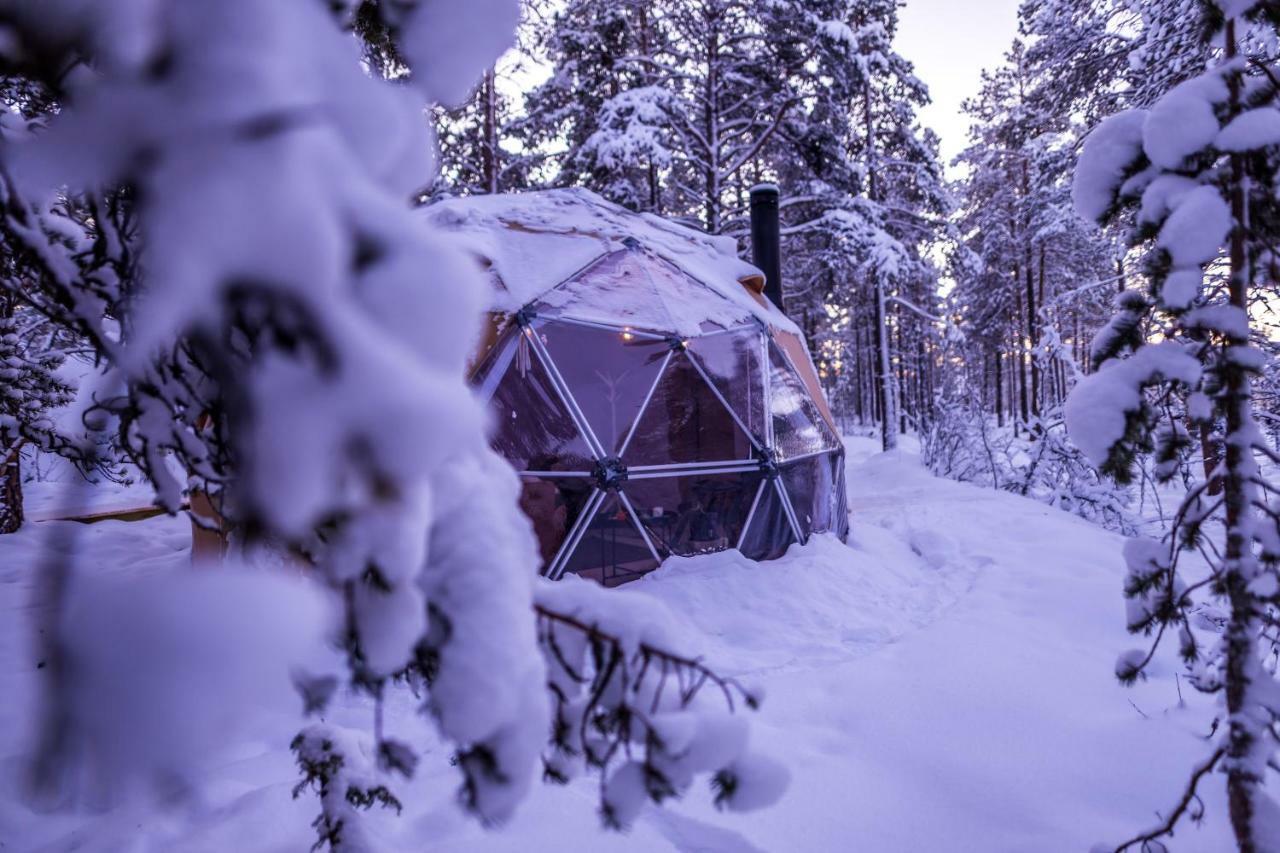 Glod Aurora Canvas Dome Alta Luaran gambar