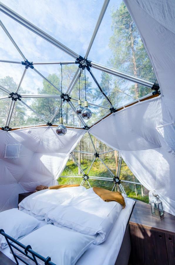 Glod Aurora Canvas Dome Alta Luaran gambar